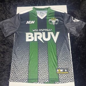 American Eagle Outfitters Green and Gray Jersey SIZE SMALL